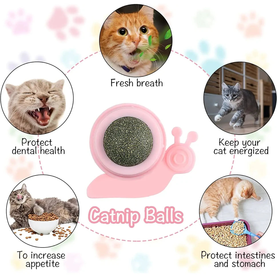 Catnip Wall Ball Toy for Cats