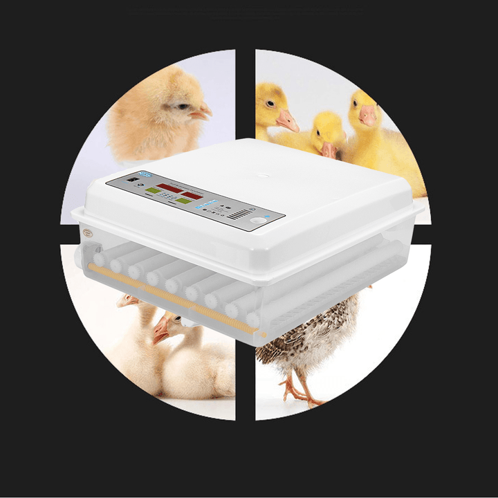 64 Eggs Chicken Automatic Digital Egg Incubator Hatchers Temperature Control - MRSLM
