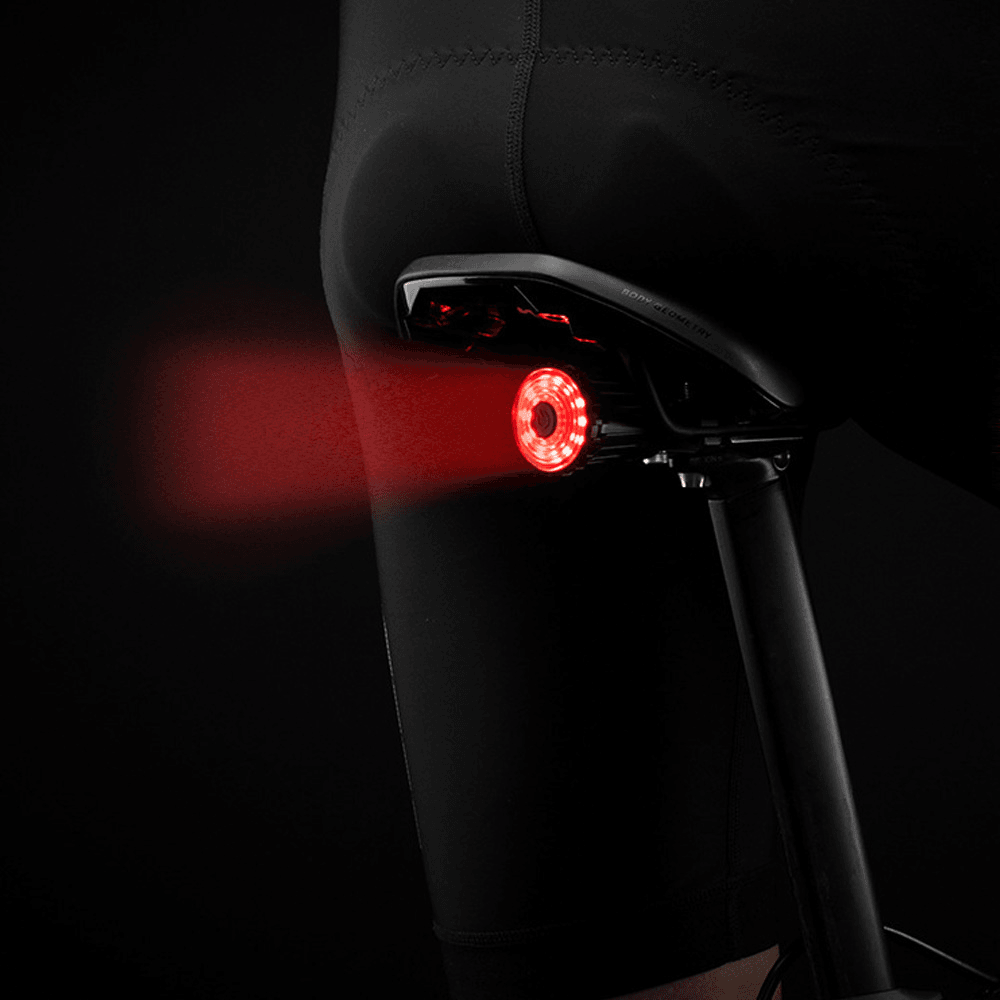 ROCKBROS 100LM Bike Tail Light Brake Sensing Rear Lights 7 Modes USB Rechargeable Safety Warning Lamp - MRSLM