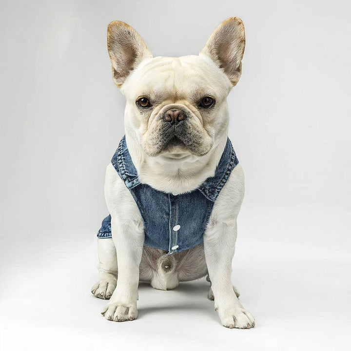 Pawsitive Vibes Dog Denim Vest - Colorful Text Dog Denim Jacket - Cool Dog Clothing - MRSLM