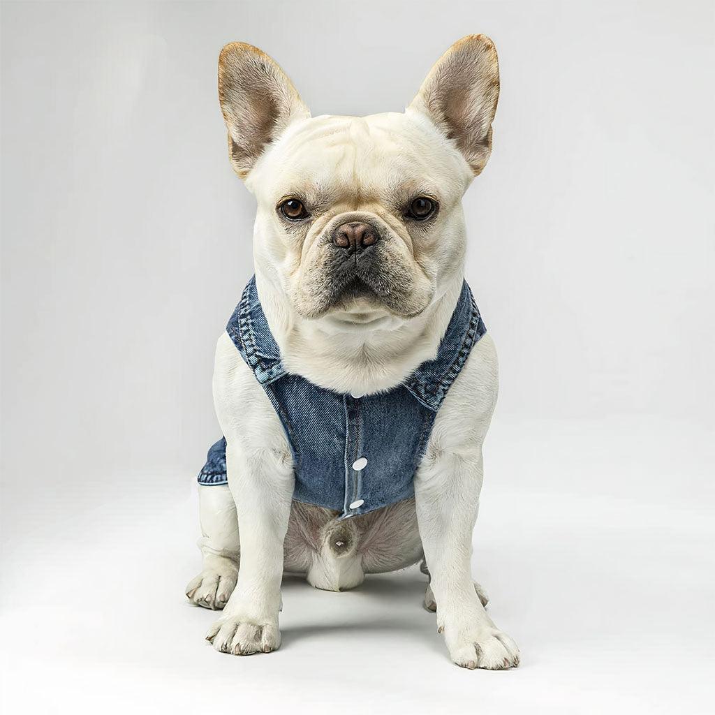 Acted Crazy Dog Denim Vest - Funny Dog Denim Jacket - Colorful Dog Clothing - MRSLM
