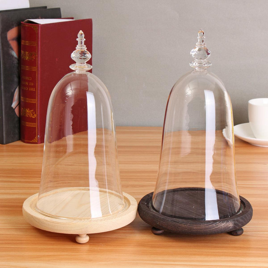 Glass Display Dome Cloche Box with Wooden Base Inspired By Beauty and the Beast - MRSLM